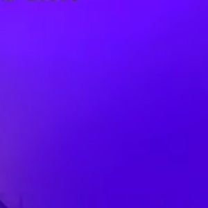 Meet your Posher, Maya